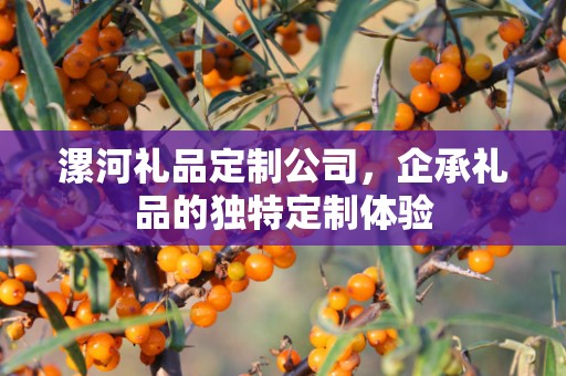 漯河礼品定制公司，企承礼品的独特定制体验
